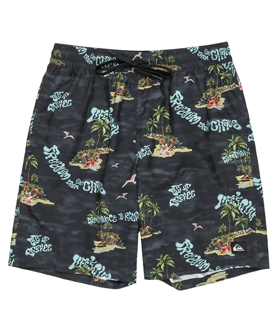 クイックシルバー　パンツ　L Quiksilver 水着 QUIKSILVER/クイックシルバー ボードショーツ
