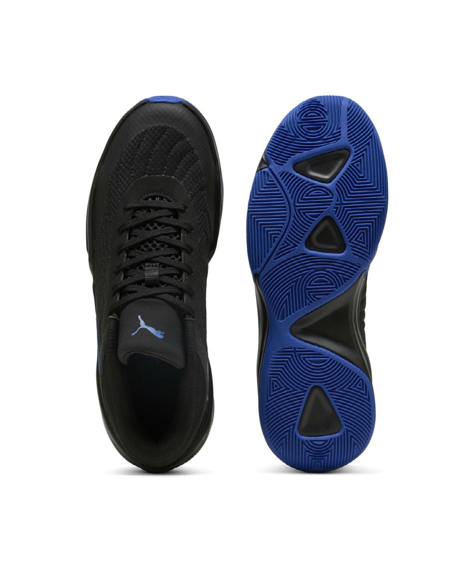 バスケットシューズ COURT PRO 2 312180-05 | スポーツ用品なら