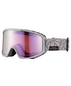 l|Cg90pt 30% OFF^SALE yzAbNX(AXE) XL[ Xm[{[hS[O ዾΉ fB[X ዾΉGOGGLE AX800-XSP y25-26 2026Nfz BE