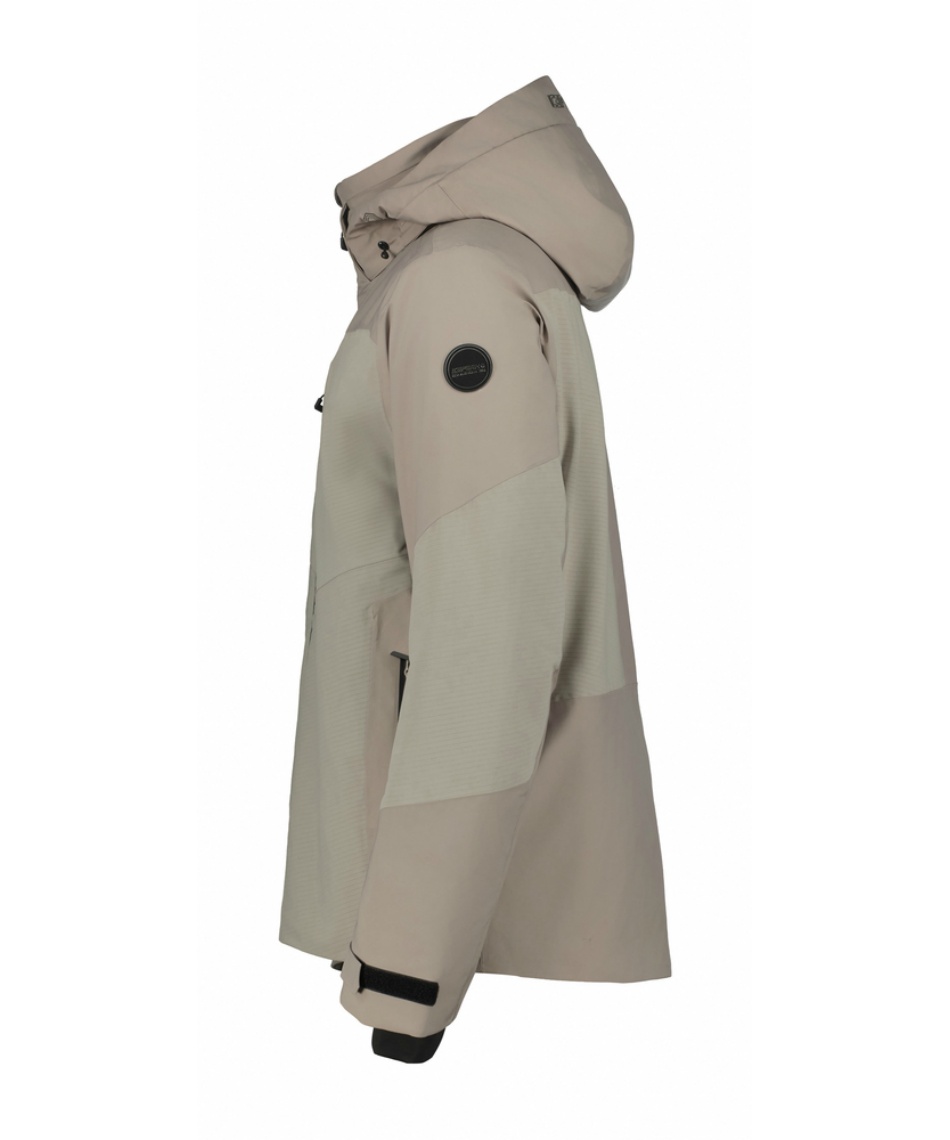 プロテアアークティックアイス　希少！2 楽天市場】プロテア【アークティックアイス】2本立ち オージープランツ