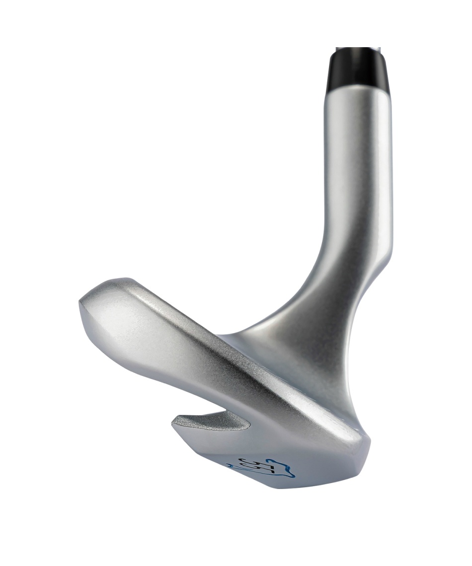 キャスコ(KASCO) ゴルフクラブ ウェッジ DOLPHIN FLYING WEDGE DFW-225