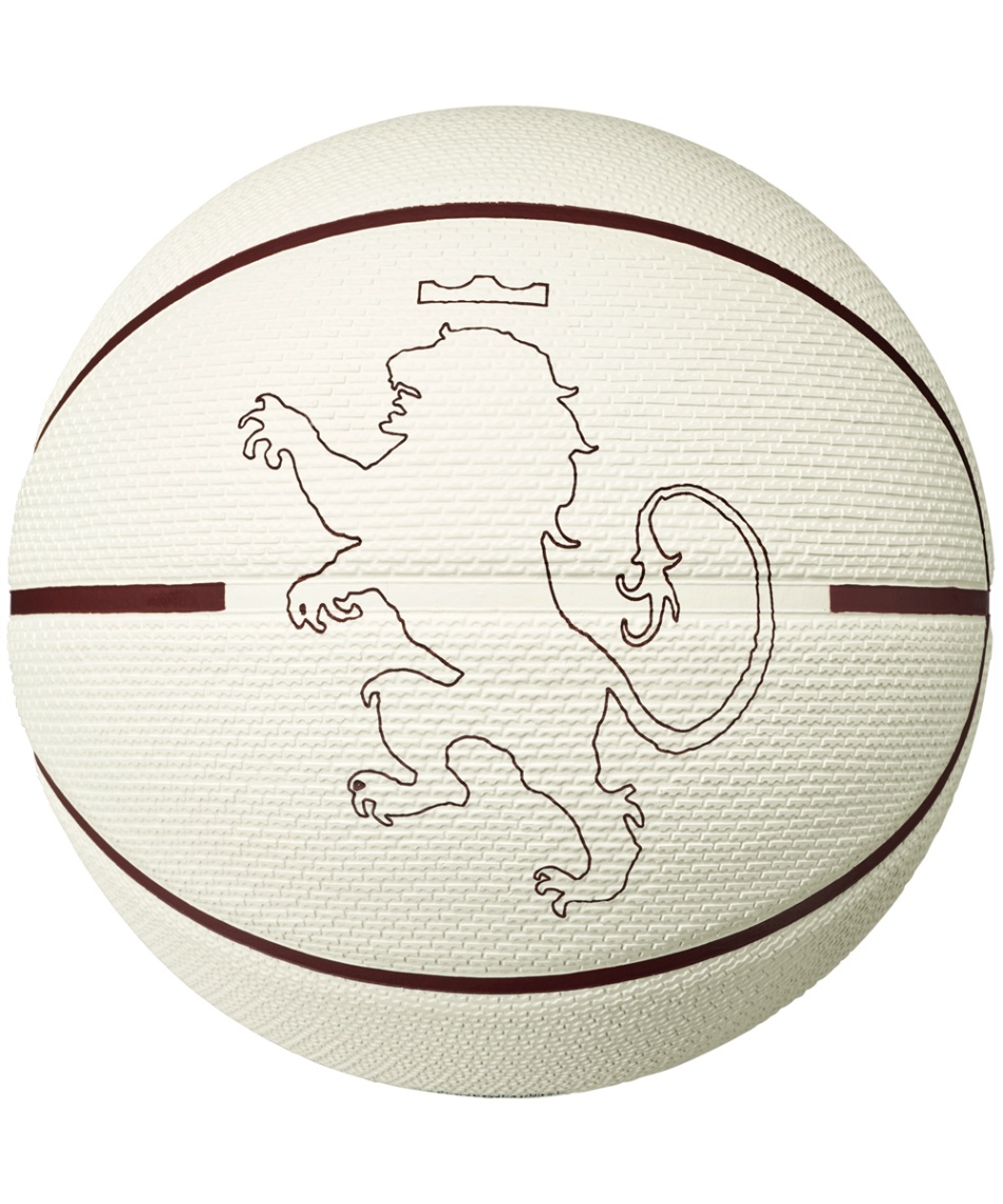 バスケットボール 7号球 NKレブロン PG 8P 2.0 CPP BS3037-159