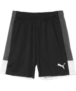 プーマ(PUMA) サッカーウェア ハーフパンツ Q1 IndivL TRショーツ
