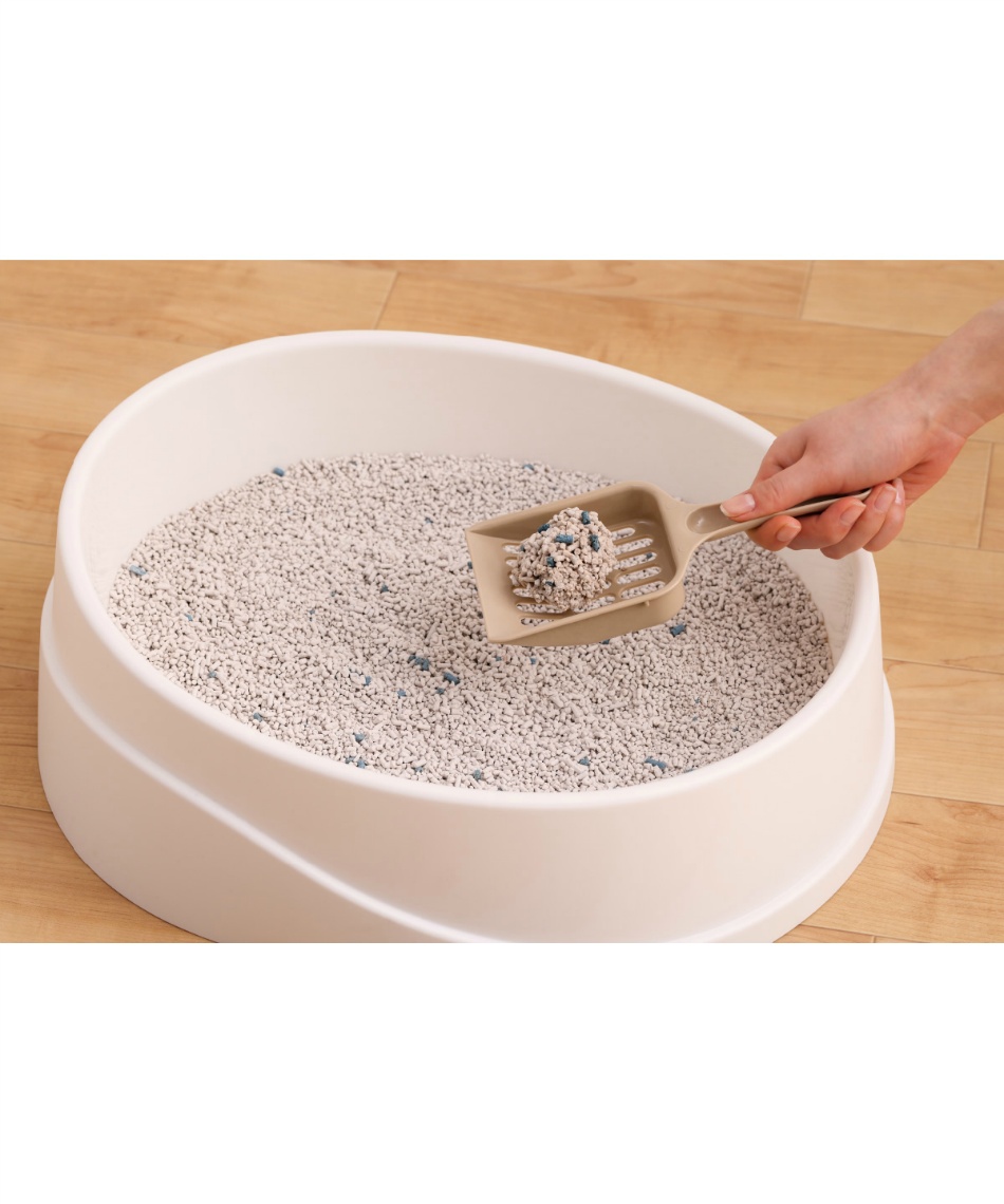 アイリスオーヤマ - たねちゃん専用 大ヒット日用品】コスパ最強！暮らしが激変する傑作揃い