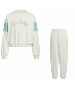 アイテム:スポーツウェア:スウェット:上下セット アディダス(adidas