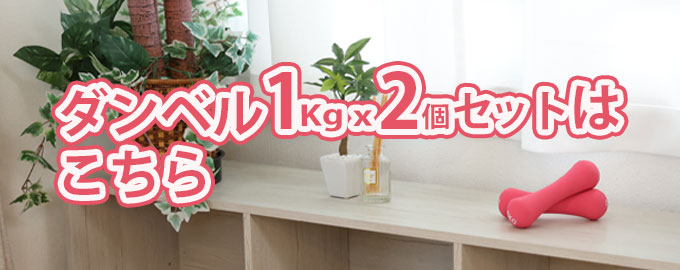 ダンベルセットカラーダンベル4kg×2個セットVQ580104I04