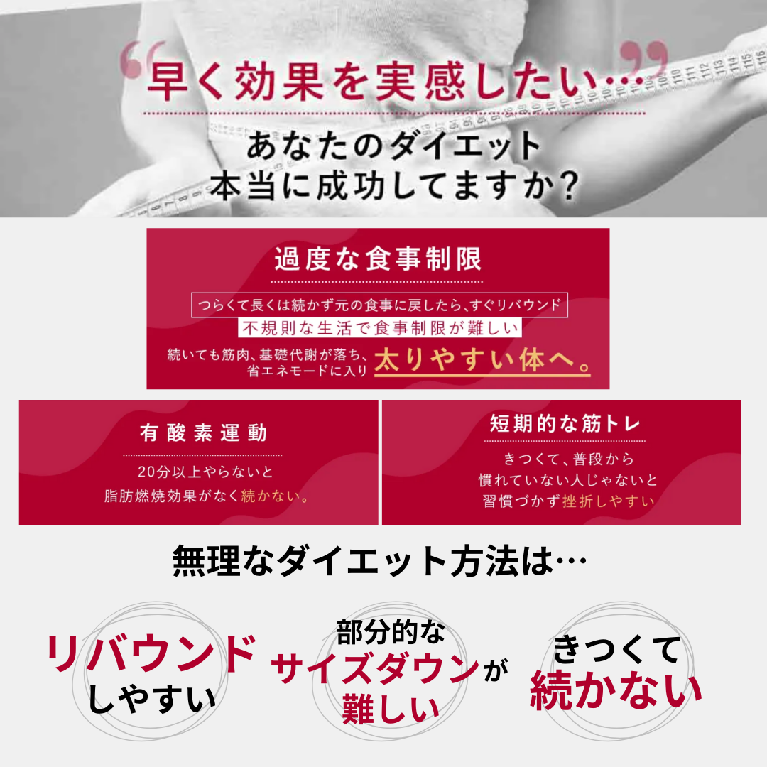 美顔器・スチーマー セルゼロスマート CELLZERO SMART 【メーカー直送