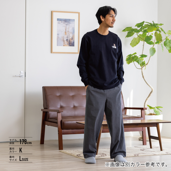 Tシャツ 長袖 LS ZOO PICKER TEE NT32533-SP 【国内正規品