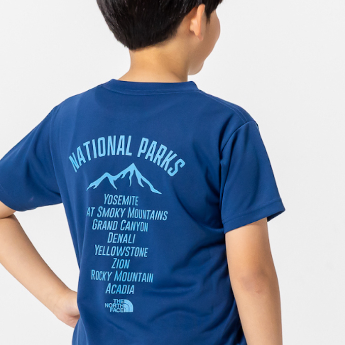 Tシャツ 半袖 SS TNF Bug Free Graphic Tee NTJ32554-OB 【国内
