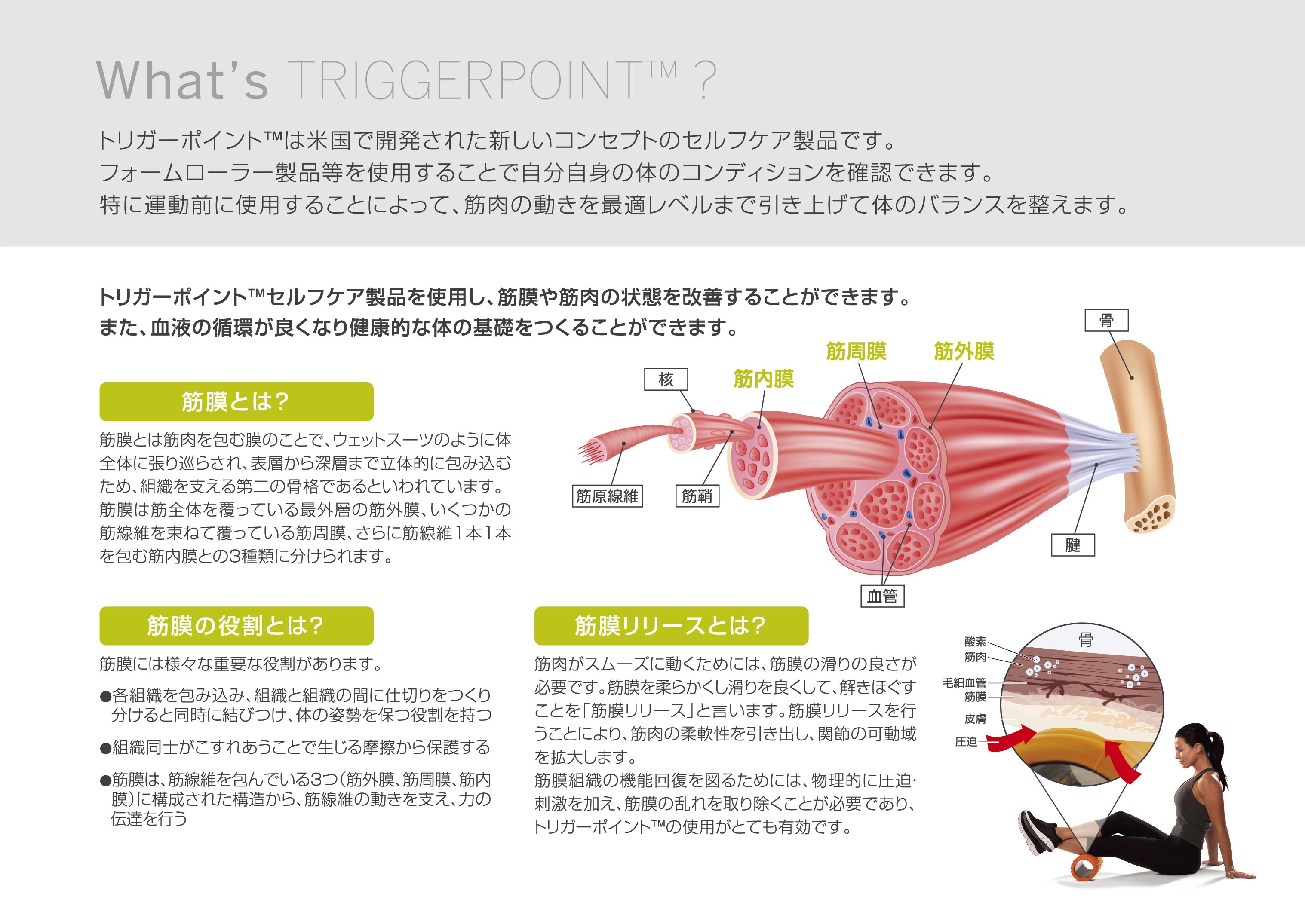 セルフケアにはトリガーポイントがおすすめ | スポーツ用品なら