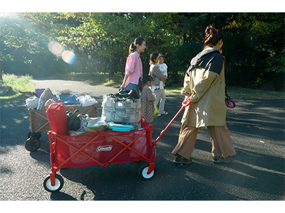 コールマン（Coleman）パークキャンプ | ヒマラヤオンラインストア【公式】