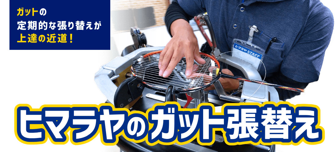Adidas P350D バドミントンラケット☆HIMARAYAで購入 アディダス バドミントンラケット」の人気商品一覧 | 安い商品を